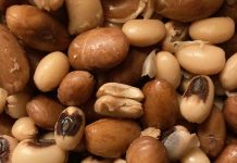 Zesty Bean Bassline Burst citrus-beans